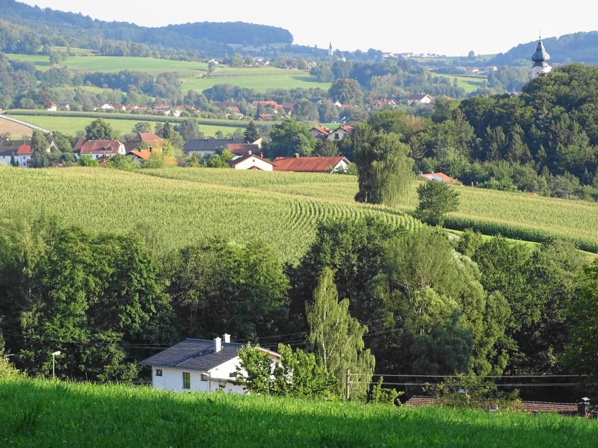 Ferienwohnung Hofstatt Lalling Bagian luar foto