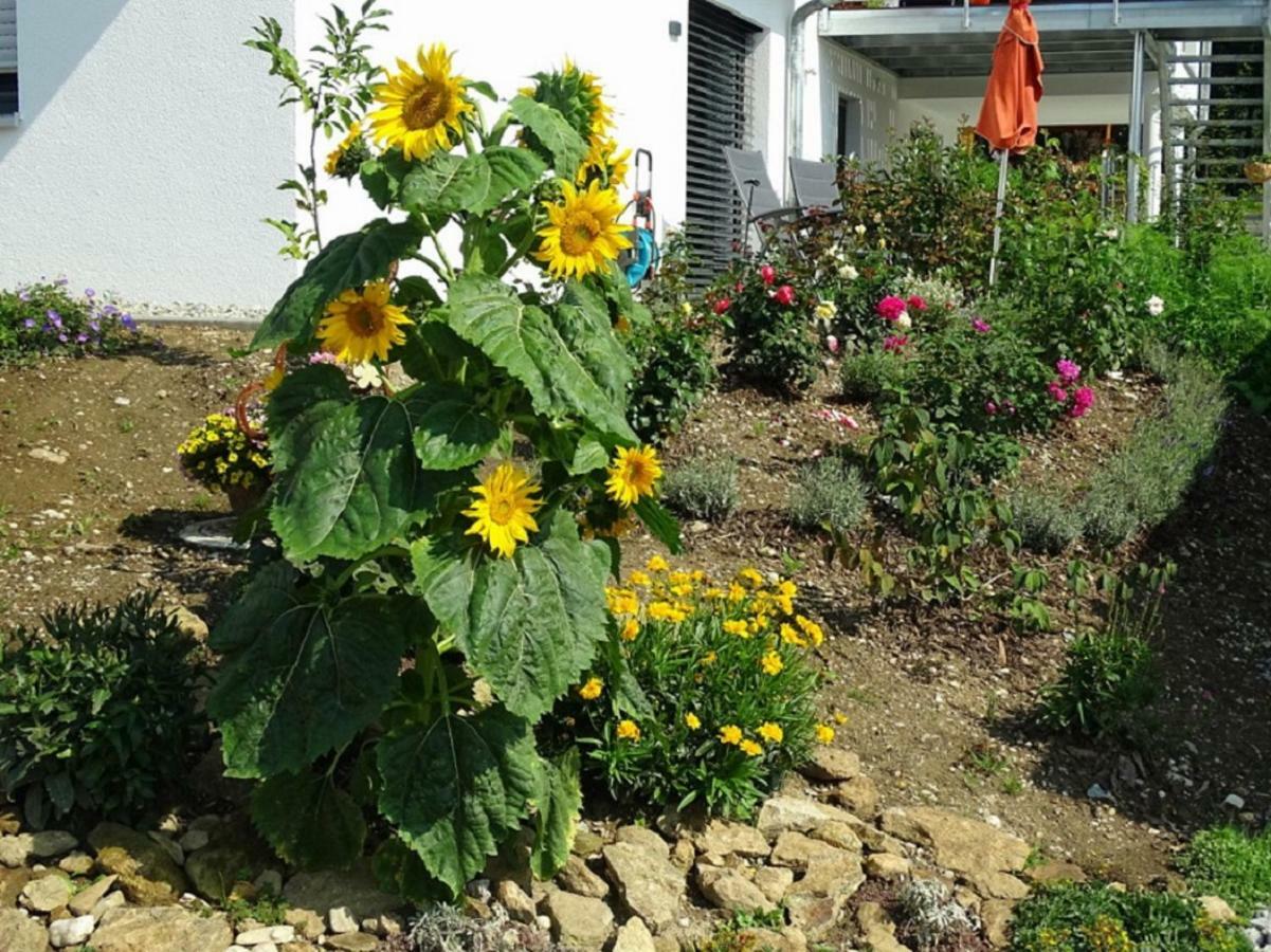 Ferienwohnung Hofstatt Lalling Bagian luar foto